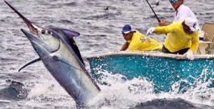 01-PESCA-1170x600 (1)