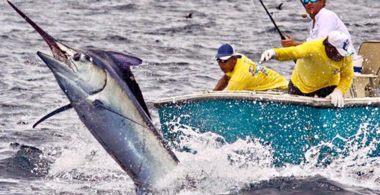 01-PESCA-1170x600 (1)